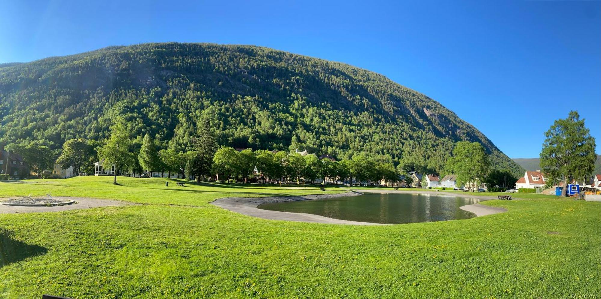 Tveitopark Apartments Rjukan Bagian luar foto