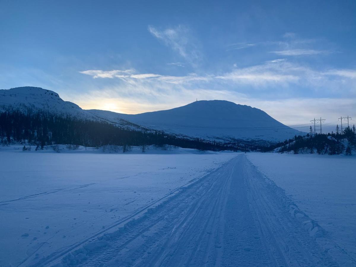 Tveitopark Apartments Rjukan Bagian luar foto