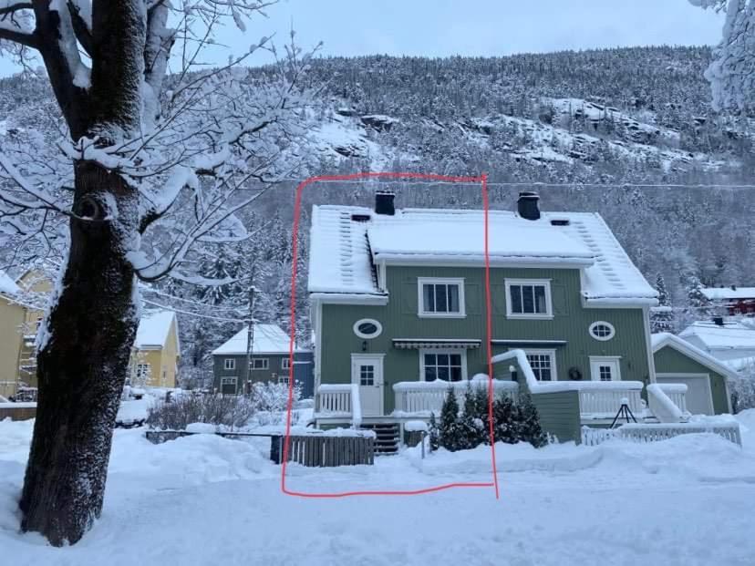 Tveitopark Apartments Rjukan Bagian luar foto