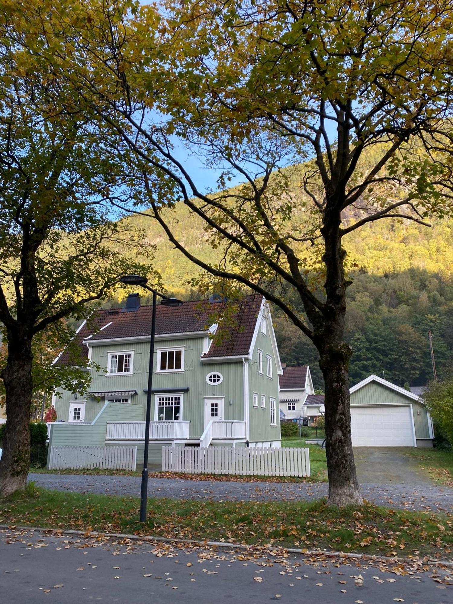 Tveitopark Apartments Rjukan Bagian luar foto